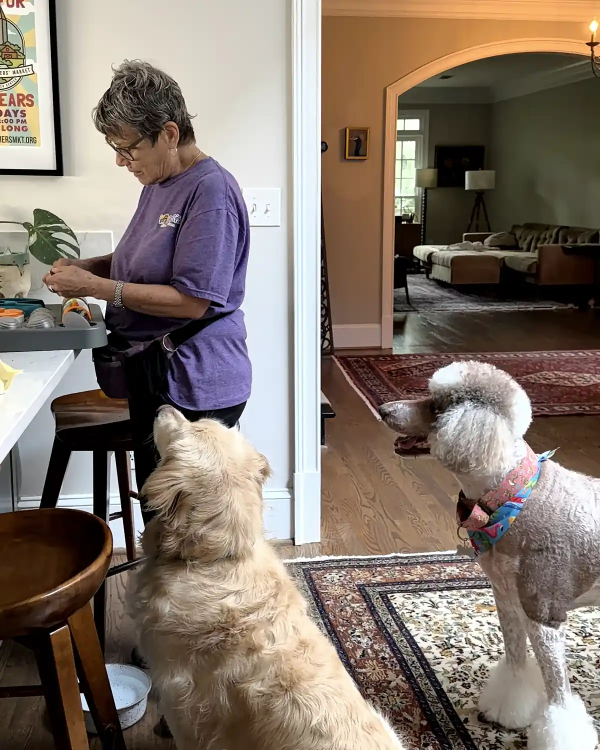 A Praline's Backyard walker preparing enrichment at a kitchen island while a golden retriever and a standard poodle wait, an arched living room behind them