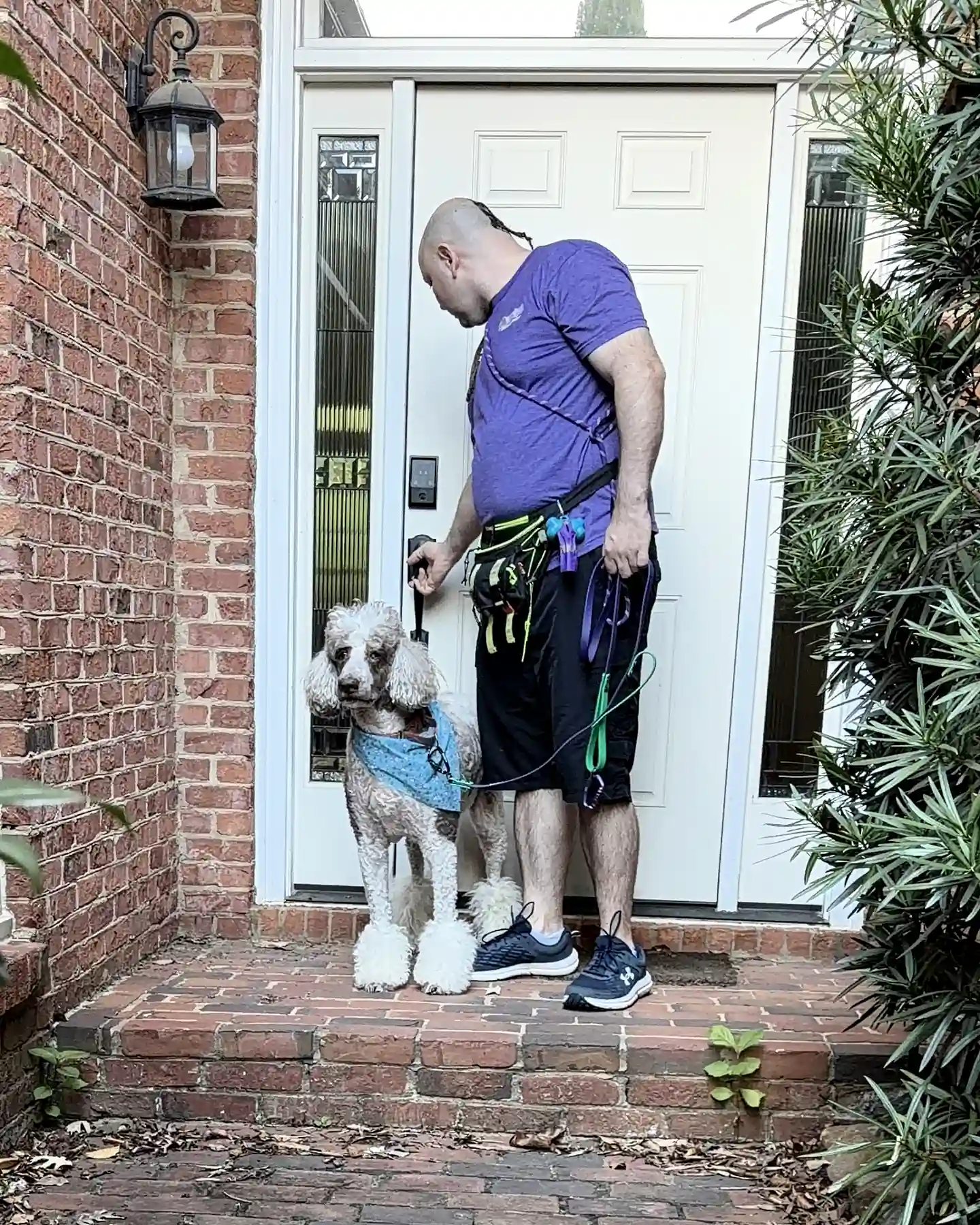 A Praline's Backyard walker and a gray standard poodle at the white front door of a brick home in intown Atlanta