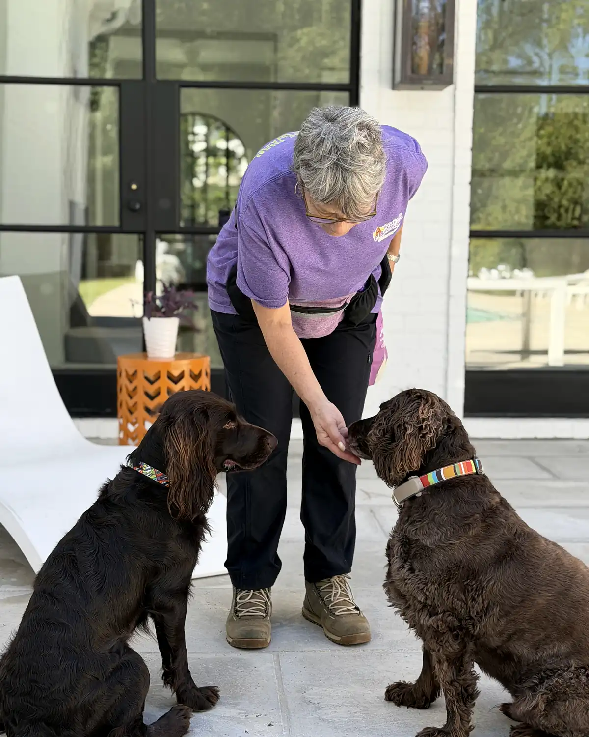 A Praline's Backyard walker greeting 2 brown spaniels on the patio of a modern white home